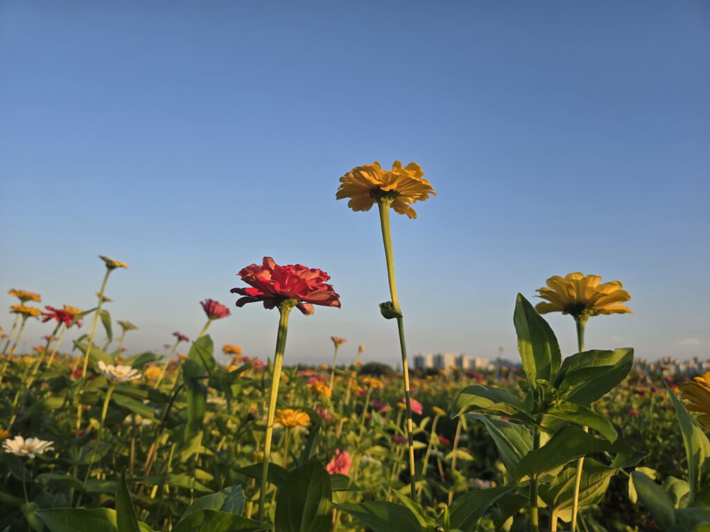 여호수아 이후 이스라엘