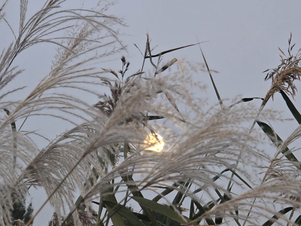 야곱의 신념과 믿음